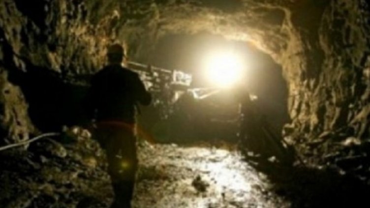 Снимка: "Дарик"