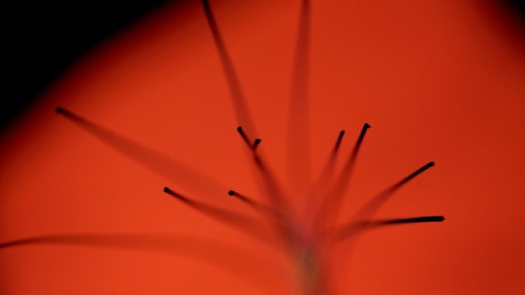 Снимка: архив, Reuters