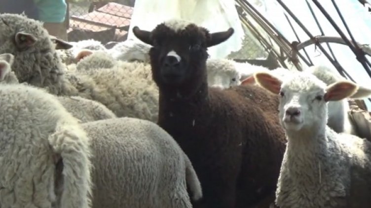 Снимка: Bulgaria ON AIR