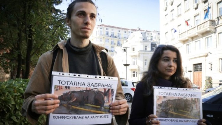 Веганите се събират тази вечер пред Светия синод. Снимка: Олег Попов, Dnes.bg