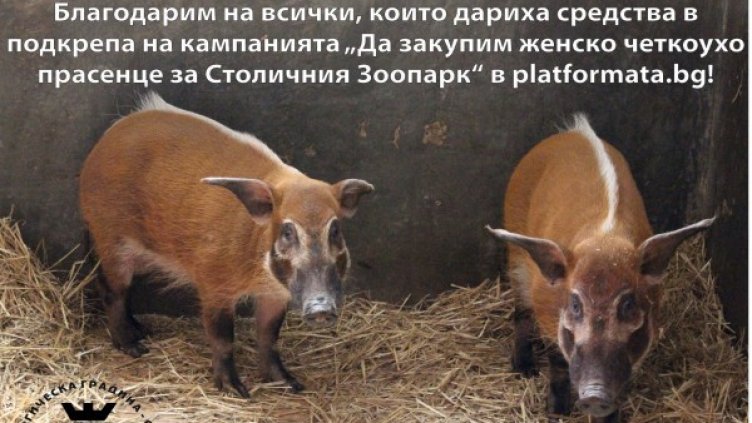 Снимка: Столичен зоопарк