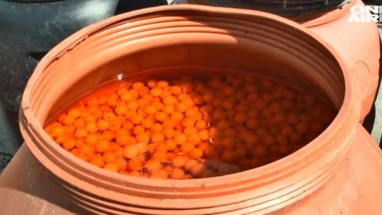 Снимка: Bulgaria On Air