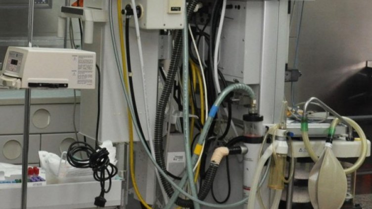 Снимка: архив, БулФото