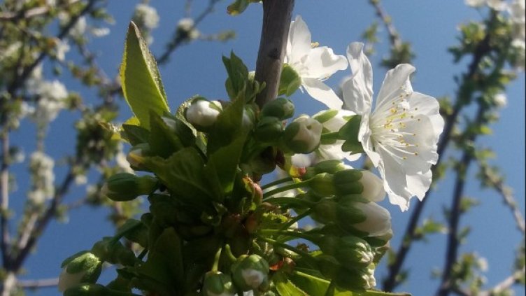 Снимка: Dnes.bg