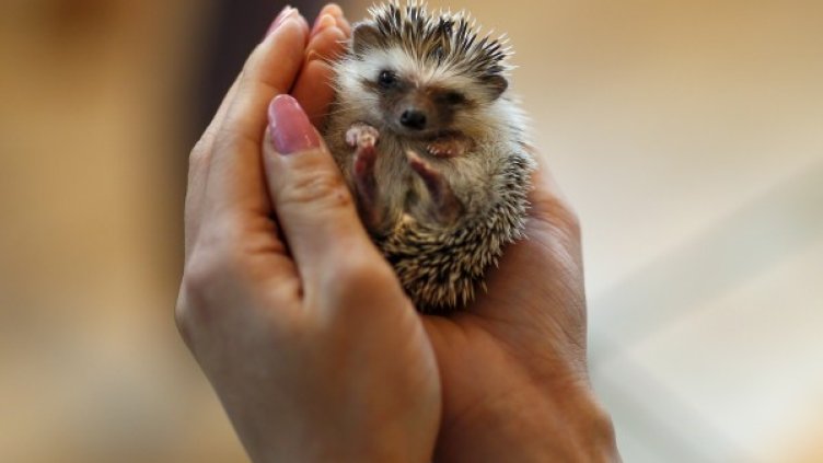 Снимка: архив Reuters