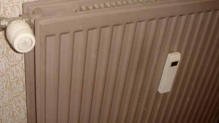 Архив: БУлфото