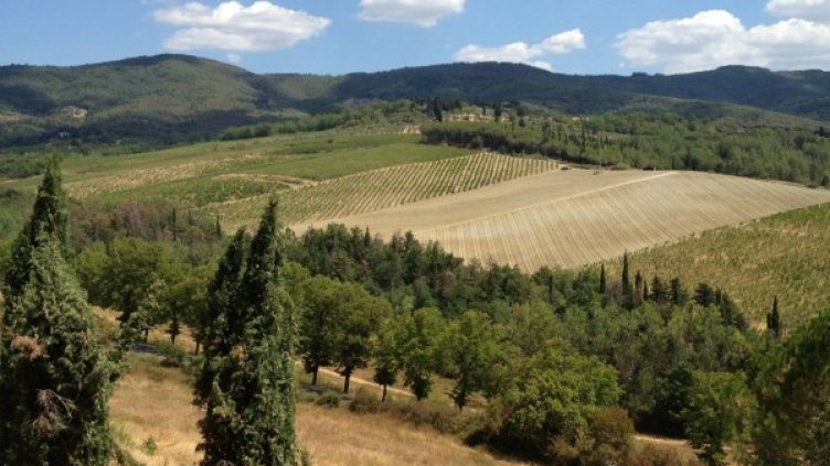 Пазарът на земеделска земя се активизира    