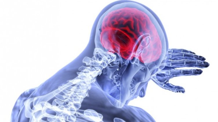 Снимка: Pixabay