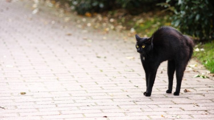 Снимка: pixabay.com