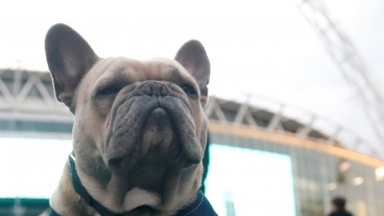 Снимка: архив Reuters