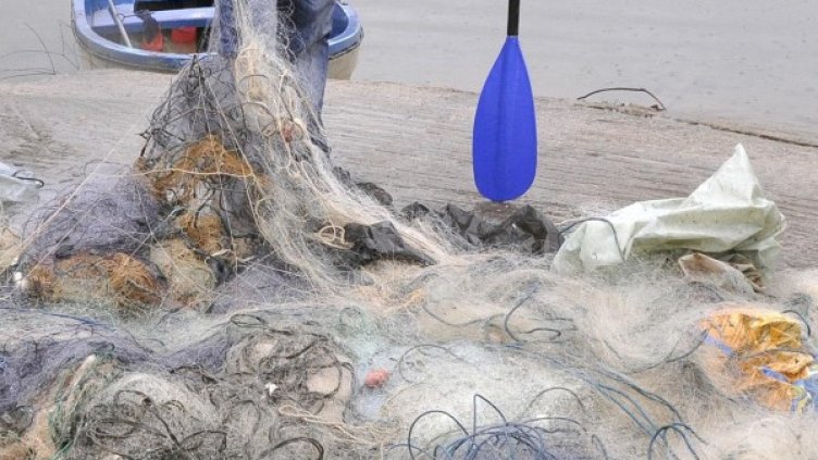 Снимка: Булфото, архив