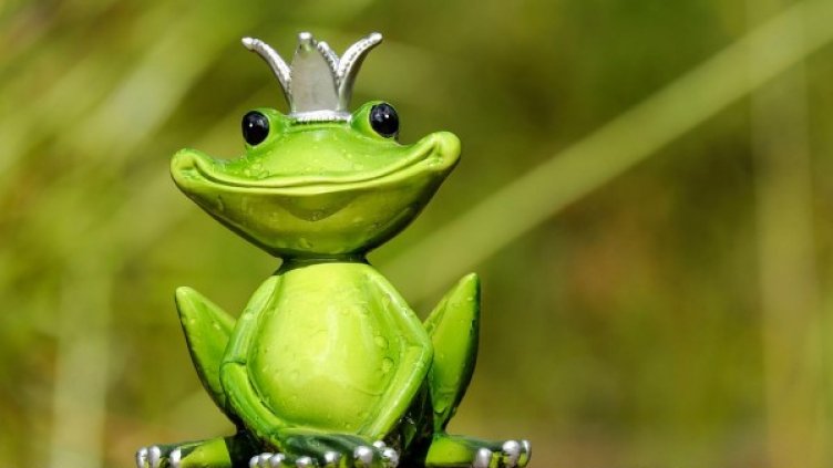 Снимка: Pixabay