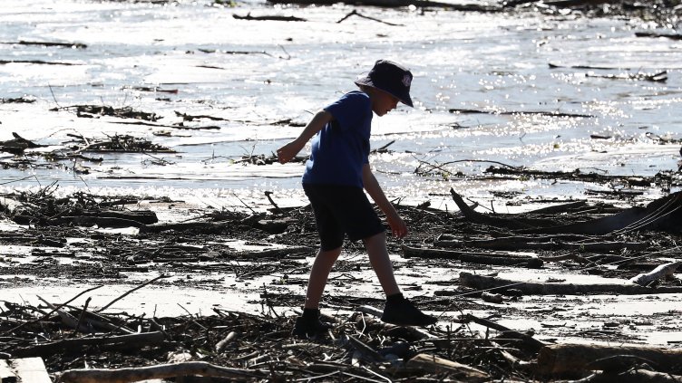 Снимка: архив, БГНЕС