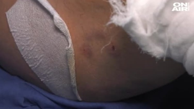 Снимка: Bulgaria ON AIR