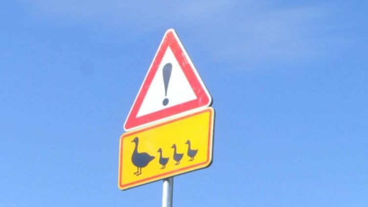 Снимка: Булфото, архив