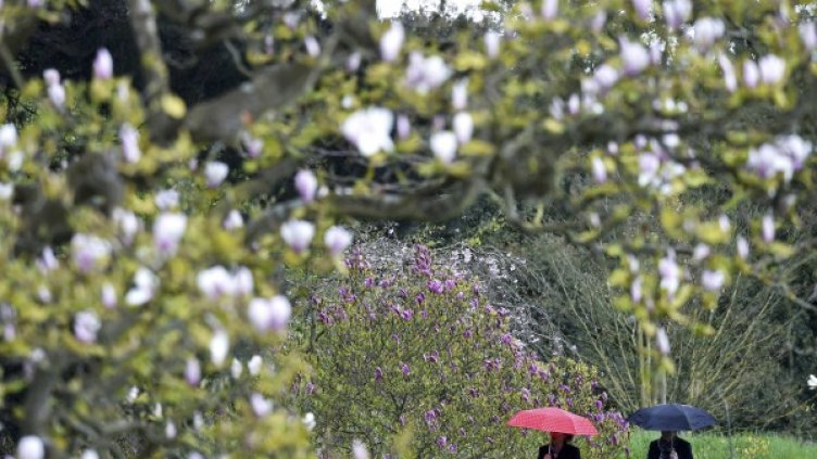 Снимка: Reuters, архив