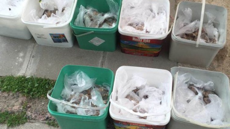 Шамар след шамар... Във вид на 8 кофи с 800 лева на стотинки