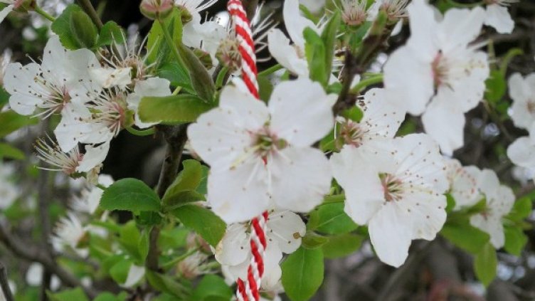 Архив: Булфото