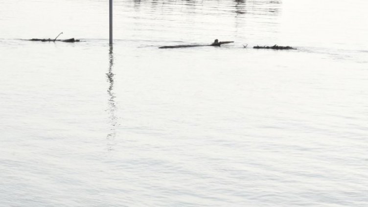 Снимка: архив, Bulphoto