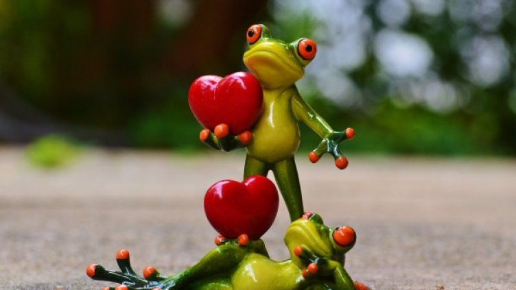 Снимка: pixabay