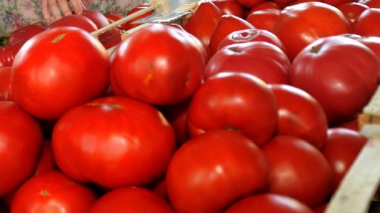 Снимка: Булфото