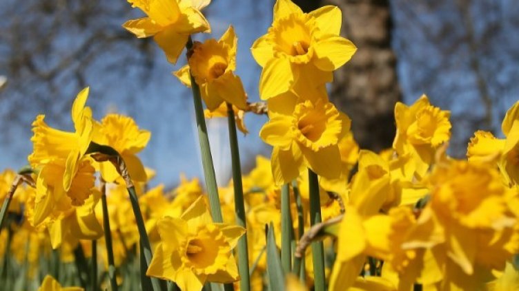 Снимка: Reuters