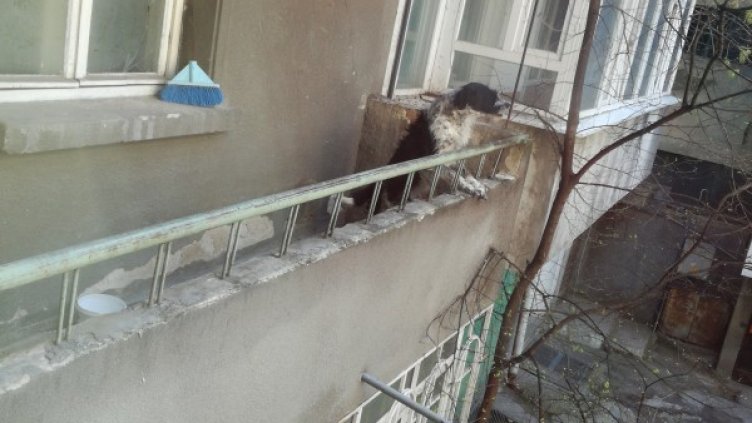 Снимка: Helpbook.info