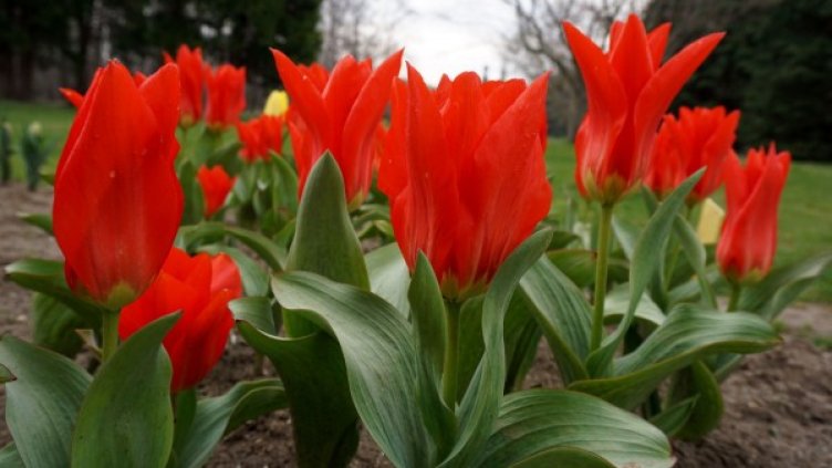 Снимка: архив, Булфото