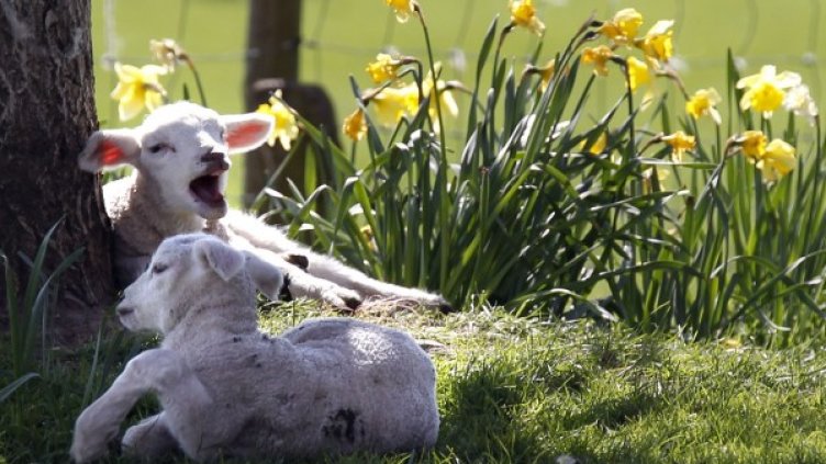 Снимка: Reuters