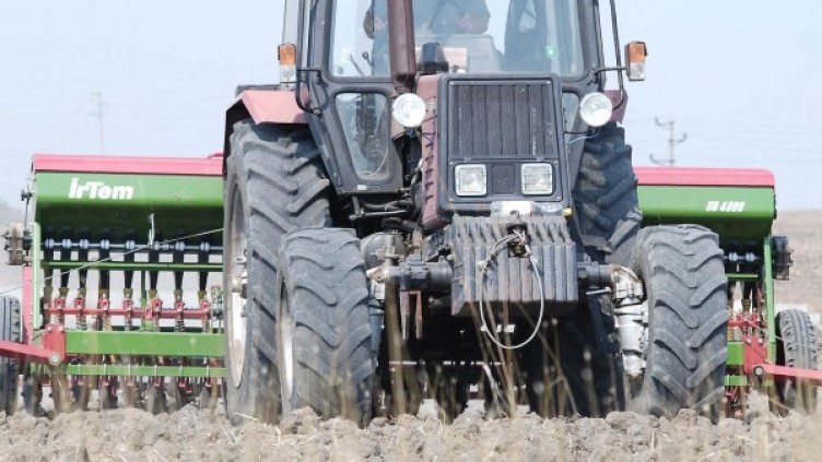 Снимка: архив, БулФото