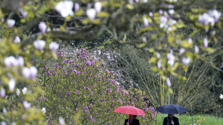 Снимка: Булфото, архив