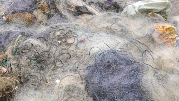 Снимка: Булфото