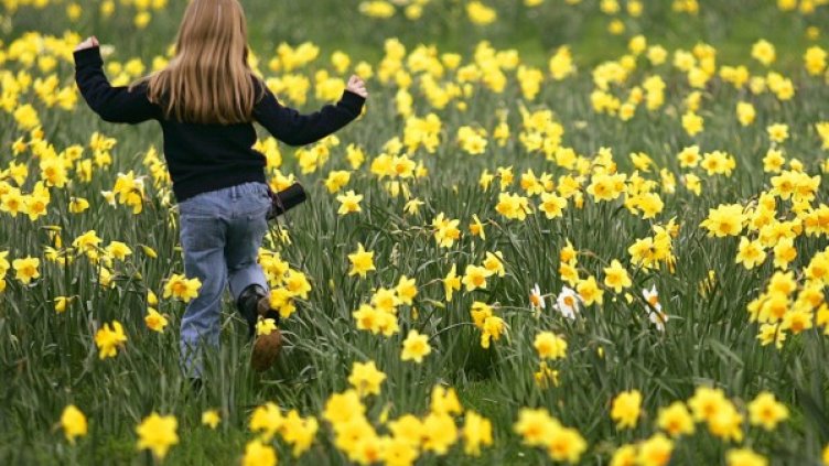 Снимка: Reuters