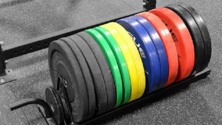 Снимка: БФВТ