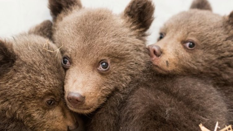 Снимка: Архив, Reuters