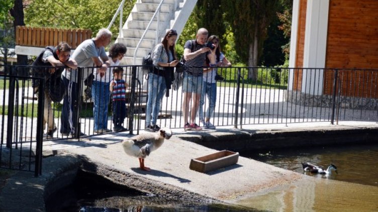 Снимка: архив, БТА