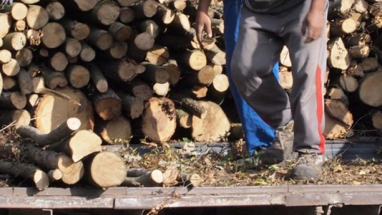 Снимка: архив, БулФото