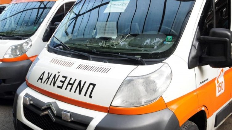 Снимка: Булфото