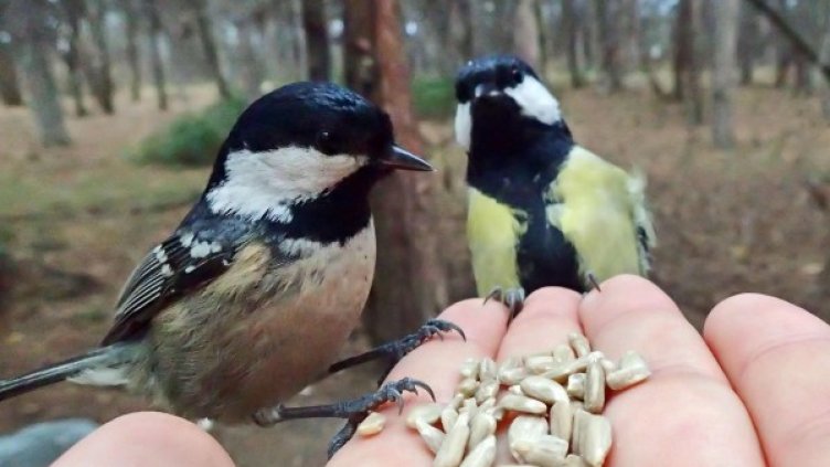 Снимка: Булфото, архив