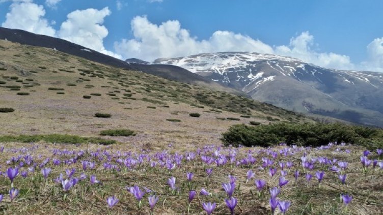 Снимка: Dnes.bg