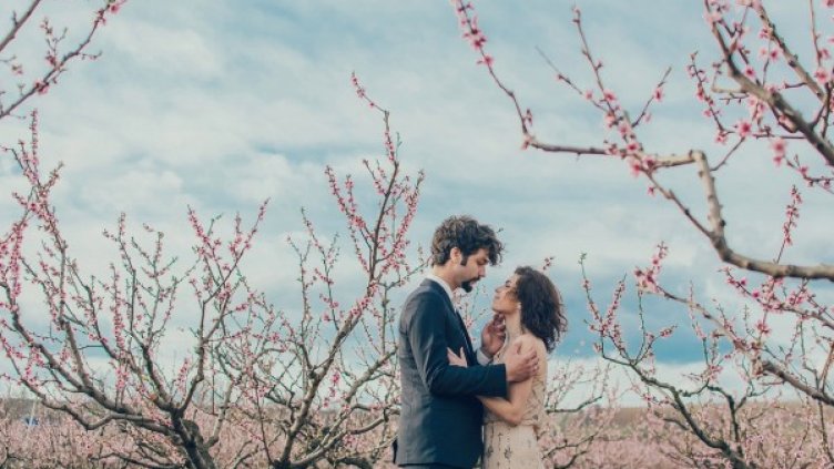 Снимка: pixabay