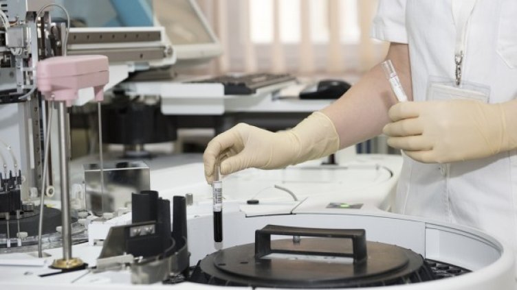 Снимка: Pixabay