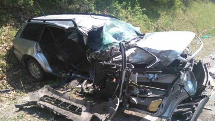 Снимка: Дарик