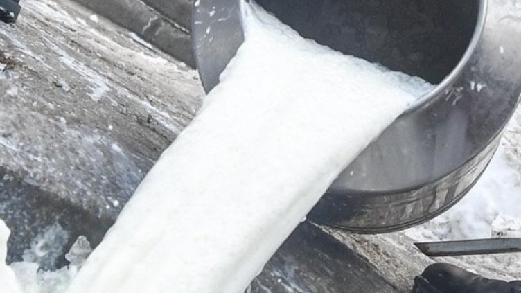 Снимка: Булфото, архив