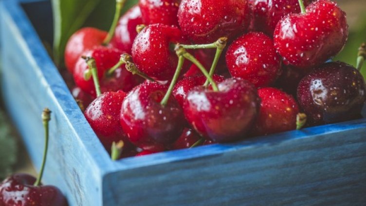 Снимка: pixabay