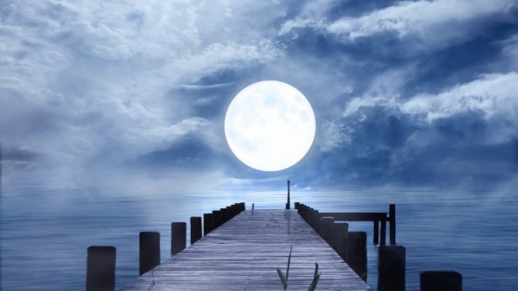 Снимка: pixabay