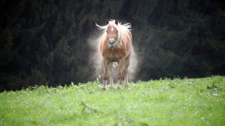 Снимка: архив, Reuters