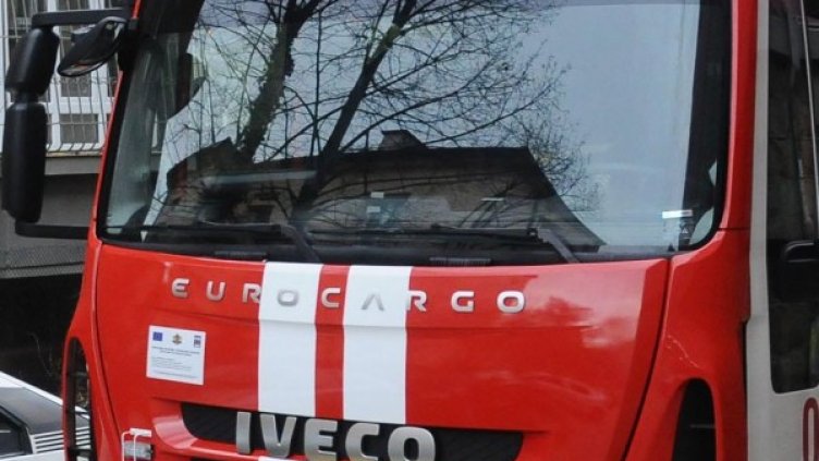 Снимка: архив, БулФото