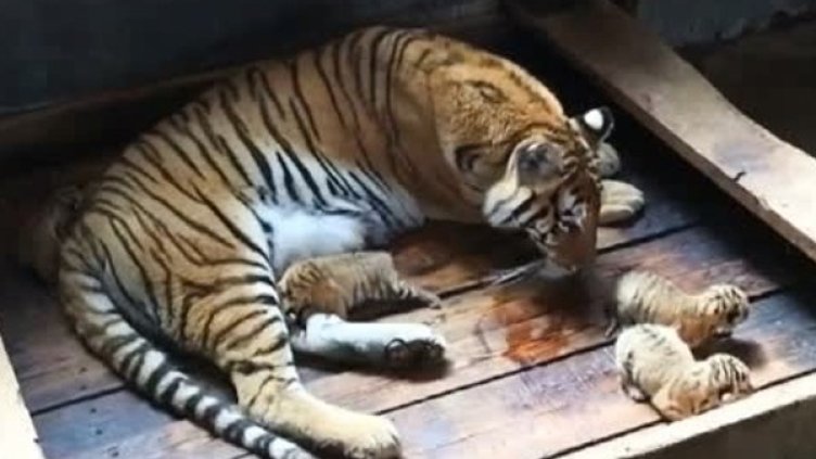 Снимка: Bulgaria ON AIR