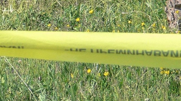 Архив: Булфото